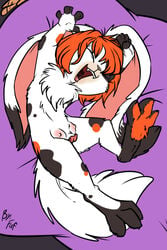 anthro cabbit calico_cat closed_eyes crotchboobs feline female fuf fur furry hair hybrid kiffin lagomorph mammal nipples no_breasts nude open_mouth orange_hair presenting presenting_pussy presenting_teats pussy rabbit shuna solo white_fur young