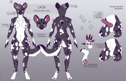 absurd_res african_painted_dog african_wild_dog animal_genitalia animal_penis anthro balls big_ears breasts canid canine canine_genitalia canine_penis claws ear_piercing erection female flaccid fudgebane fur genitals green_eyes grey_body grey_fur gynomorph hi_res intersex lyca_blackwood mammal markings model_sheet multiple_piercings navel navel_piercing nipple_piercing nipples pawpads paws penis piercing purple_markings reference_image sheath solo tail tuft white_body white_fur white_markings