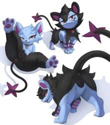 arakira collar fan_character female_feral feral looking_at_viewer luxio luxray nintendo pokemon shinx simple_background