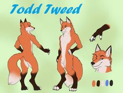 4_toes animal_genitalia anthro balls black_ears canine clothing crash_azarel digitigrade fingerless_gloves fluffy fox fur gloves hi_res looking_at_viewer male mammal model_sheet nude one_eye_closed orange_fur paws rear_view sheath simple_background slim solo standing todd_tweed toes wink