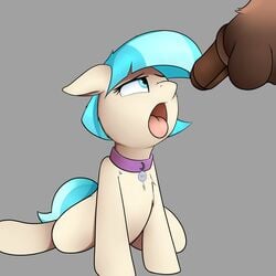 2017 animal_genitalia animal_penis balls blue_eyes coco_pommel_(mlp) collar disembodied_penis duo earth_pony equine equine_penis erection eyelashes female feral friendship_is_magic fur grey_background hair hi_res horse horsecock male mammal multicolored_hair my_little_pony neighday penis pony simple_background solo_focus tan_fur tongue tongue_out two_tone_hair