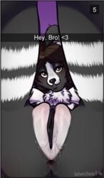 2016 anthro anus ass bebecake black_fur black_nose blush border_collie breasts brown_eyes brown_hair canine canine chest_tuft clitoral_hood clitoris collie english_text female fur hair heart legs_up looking_at_viewer looking_through_legs mammal multicolored_fur neck_tuft nude presenting presenting_anus presenting_pussy purple_background pussy pussy_juice simple_background snapchat solo stripes text tuft two_tone_fur voltassa white_fur