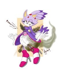 1girls blaze_the_cat diaper full_diaper heel_boots messing purple_fur relief scat shit sonic_(series) sonic_the_hedgehog_(series) stinky yellow_eyes