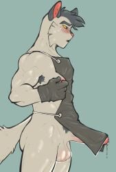 2025 angelofthecode anthro apron apron_only armpit_hair ass balls blue_background blush bodily_fluids body_hair bottomless bottomless_anthro bottomless_male cheek_tuft clothed clothed_anthro clothed_male clothing colored digital_drawing_(artwork) digital_media_(artwork) domestic_cat erection_under_apron eyebrows facial_tuft felid feline felis fur genital_fluids genitals gloves grey_eyebrows grey_hair hair handwear hi_res humanoid_genitalia humanoid_penis lackadaisy leaking_precum looking_pleasured male male_only mammal monotone_background monotone_body monotone_fur muscular muscular_anthro muscular_male nicodeme_savoy nipples penis pink_inner_ear pink_nose precum pubes side_view simple_background solo sweat sweaty_balls sweaty_body sweaty_genitalia tail tuft white_body white_fur yellow_eyes