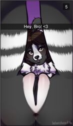 2016 anthro anus ass bebecake black_fur black_nose blush border_collie breasts brown_eyes brown_hair canine canine chest_tuft clitoral_hood clitoris collie english_text female fur hair heart legs_up looking_at_viewer looking_through_legs mammal multicolored_fur neck_tuft nude presenting presenting_anus presenting_pussy purple_background pussy simple_background snapchat solo stripes text tuft two_tone_fur voltassa white_fur