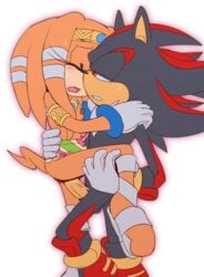 shadow the hedgehog from sega by incognition