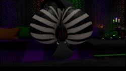 3d_animation animated anthro anus_twitching anus_wink ass_focus back_view backsack ball_bra big_balls bottom_heavy_femboy bottomless_anthro bottomless_male clapping_ass donut_anus femboy gflemon47_vr ineffective_clothing puffy_anus self_upload shaking_ass shaking_butt shorter_than_30_seconds shorter_than_one_minute sound tagme thong video vrchat vrchat_avatar vrchat_media vrchat_model zebra