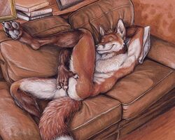 anal anal_masturbation ass black_nose book canine fingering fox male male_only mammal masturbation neverwolf picture_frame sofa solo