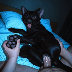 2026 4_toes a_cat_is_fine_too ai_generated anatomically_correct anatomically_correct_genitalia animal_genitalia animal_pussy anus balls bed bedroom black_body black_eyes black_fur bodily_fluids butt butt_grab claws cum cum_in_pussy cum_inside detailed detailed_fur domestic_cat duo fangs feet felid feline feline_genitalia feline_pussy felis female feral first_person_view fur furniture furry genital_fluids genitals hand_on_butt hi_res human inside looking_at_viewer lying male male/female male_human/female_feral mammal night on_side open_mouth pawpads paws penis pleasedontlook pussy saliva tagme tail_anus teeth toes tongue vaginal whiskers