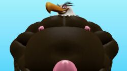 3d 3d_model accipitrid accipitriform angry_birds animated animation anthro anus ass avian balls beak big_ass big_balls big_butt bird black_eyes black_tail black_tail_feathers blender bodily_fluids brown_body brown_feathers chubby chubby_male day eagle eye_contact fart fart_cloud fart_fetish farting farts fat fat_ass fat_male feathers fetish first_person_view genitals gurgle_(sound_effect) gurgling gurgling_noise kabalmystic_(style) looking_at_viewer looking_back looking_back_at_viewer male male_only mighty_eagle multicolored_body multicolored_feathers music navel nipples no_music outside overweight overweight_male pecs penis pov presenting presenting_hindquarters rovio rovio_animation rovio_entertainment sega sitting smile solo sony_pictures_animation sound sound_effects sound_warning tagme tail tail_feathers talons the_angry_birds_movie thick_thighs two_tone_body two_tone_feathers video voice voice_acted water white_body white_feathers yellow_beak