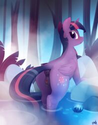 2017 alicorn anatomically_correct anatomically_correct_pussy animal_genitalia animal_pussy anus ass b-epon blush braddo clitoral_winking clitoris cutie_mark dripping epon equine equine_pussy female feral friendship_is_magic hair horn hot_spring in_heat looking_back mammal my_little_pony puffy_anus pussy solo steam surprise twilight_sparkle_(mlp) water wet wings