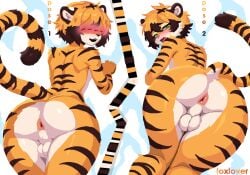 anus f0xlover femboy furry good_boy green_eyes handsome looking_at_viewer looking_back orange_fur round_ass sexy_hips sexy_pose shy slim_body slim_waist solo_anthro striped_fur testicles tiger tiger_ears tiger_tail white_background