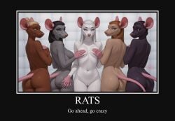 2026 5_girls absurd_res ai_generated anthro black_body black_fur black_hair blonde_hair blue_eyes brown_body brown_eyes brown_fur butt covering covering_breasts crazy?_i_was_crazy_once._they_locked_me_in_a_room._a_rubber_room._a_rubber_room_with_rats._and_rats_make_me_crazy. crosscrusader female freckles fur furry genitals green_eyes grey_body grey_fur group hair hi_res huge_filesize light_brown_fur looking_at_viewer mammal meme murid murine navel nipples padded_cell padded_room padded_walls pink_eyes pink_nipples pink_nose pussy rat red_hair rodent silver_hair simple_background tagme tail white_body white_fur