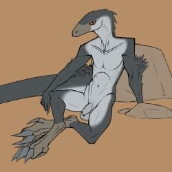 1:1 2026 anthro arm_tuft athletic athletic_male balls belly bullchicken claws collarbone colored digital_drawing_(artwork) digital_media_(artwork) digitigrade dinosaur dromaeosaurid elbow_tuft feather_tuft feathers finger_claws flaccid flat_colors foreskin genitals grey_arms grey_body grey_legs grey_tail head_tuft humanoid_genitalia humanoid_penis long_tail looking_at_viewer male navel nude nude_male orange_eyes penis prehistoric_species reptile rock saggy_balls saurischian scalie simple_background sitting snout solo tail theropod toe_claws tuft velociraptor white_belly white_body white_chest