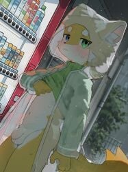 absurd_res anthro balls blush bottomless canid canine clothed clothing coat detailed_background flaccid foreskin genitals heterochromia hi_res humanoid_genitalia humanoid_penis kemono machine male mammal nekowuwu penis raincoat raining shirt solo topwear vending_machine