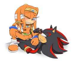 shadow the hedgehog from sonic (series) by incognition