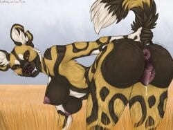 abasi_(kojote_latrans) african_wild_dog anatomically_correct anatomically_correct_genitalia anatomically_correct_pussy animal_genitalia animal_pussy anthro anus ass bent_over big_breasts bodily_fluids breasts canid canine canine_genitalia canine_pussy fangs female genital_fluids genitals grin inner_ear_fluff mammal notched_ear nude nude_female presenting presenting_hindquarters presenting_pussy pussy raised_tail savanna seductive smile solo tail tail_grab teeth toots tuft vaginal_fluids whiskers yellow_eyes