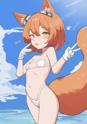 fv721 fox (daebom) fan art