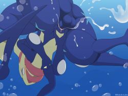 generation 6 pokemon from nintendo by winick-lim