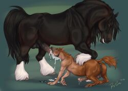 2024 balls black_balls black_body black_fur black_penis black_tail bodily_fluids brown_body brown_eyes brown_fur closed_eyes cum cum_in_mouth cum_inside cum_on_ground dated duo equid equine erection feral feral_on_feral feral_penetrated feral_penetrating feral_penetrating_feral fur genital_fluids genitals grey_anus grey_balls grin hi_res horse human_to_feral male male/male male_penetrated male_penetrating male_penetrating_male mammal mid_transformation narrowed_eyes penetration penis penis_in_mouth rufciu sex side_view signature smile species_transformation tail transformation vein veiny_penis white_body white_fur zoophilia