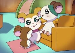 2025 absurd_res animal_genitalia animal_penis anthro armchair balls biped black_eyes brown_body cappy_(hamtaro) chair closed_eyes countershade_face countershade_torso countershading cricetid erection female furniture genitals group hamster hamtaro_(series) handjob hi_res inside kneeling looking_at_viewer male male/female mammal minum multicolored_body nude open_mouth open_smile orange_body pashmina_(hamtaro) penelope_(hamtaro) penile penis pink_nose rodent round_ears sex sitting sitting_on_armchair smile standing tongue trio two_tone_body whiskers white_body white_countershading