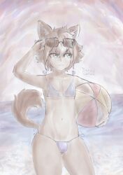 beach beach_ball big_thighs bikini crossdressing dog_ears dog_tail femboy genshin_impact gorou_(genshin_impact) ocean penis_in_panties sky sunglasses thighs