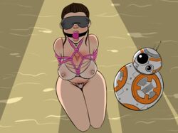 areolae astromech_droid ball_gag bb-8 blindfold bondage breasts dakasur droid female gag gagged jakku kinbaku mouth_gag nipples panties pink_ball_gag restrained rey robot rope rope_bondage star_wars the_force_awakens