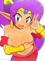 shantae (character) from shantae by bushii (bo0xhy)