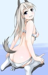 animal_ears ass blue_background blue_eyes blush bra breasts butt_crack eila_ilmatar_juutilainen female fox_ears looking_at_viewer looking_back medium_breasts nipples panties panty_pull pantyhose pantyhose_pull simple_background small_breasts smile solo strike_witches tail underwear white_bra white_hair white_panties world_witches_series