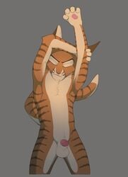 1boy anthro balls cat cat_ears cat_tail claws closed_eyes domestic_cat felid feline fetchmonkey_(artist) fur furry grey_background lackadaisy male male_only mammal nude orange_fur paws penis sheath simple_background solo stretching tail whiskers white_fur zib