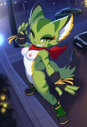 carol tea from freedom planet