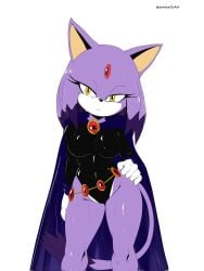 blaze_the_cat raven_(cosplay) sonic_(series) soranygy thighs