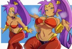 shantae (character) from shantae by unown18