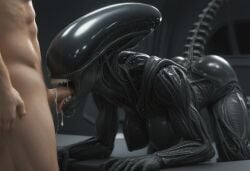 1boy 1girls ai_generated alien alien_(franchise) alien_girl beautiful bedroom big_breasts blowjob breasts breeding_request cum_drip cum_dripping_from_mouth cum_in_mouth cumming fellatio female female_focus female_on_human femomorph human human_on_alien in_heat intercourse interspecies male male_on_alien on_all_fours on_knees oral penis pussy realistic seductive seductive_look seductive_smile sexy sexy_body sexy_pose space_station straight sucking_penis tits_out tounge_out wet_pussy xenomorph