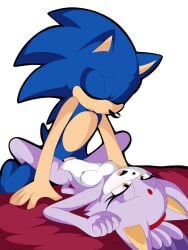 anthro bed blaze_the_cat closed_eyes domestic_cat duo eulipotyphlan felid feline felis female female_on_bottom from_front_position furniture genitals hedgehog hero hi_res humanoid j_nsfw looking_pleasured lying male male/female male_on_top mammal missionary_position nude on_back on_bottom on_top penetration penis princess pussy royalty sega sex sonic_(series) sonic_the_hedgehog sonic_the_hedgehog_(series) vaginal_penetration