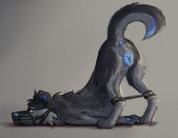 a_dusty_wolf anatomically_correct anatomically_correct_genitalia animal_genitalia animal_pussy anus ass ass_up back_tuft black_body black_fur blue_anus blue_body blue_eyes blue_fur blue_inner_ear blue_nose blue_pawpads blue_paws blue_pussy bondage bondage bound canid canine canine_genitalia canine_pussy canis cheek_tuft digitigrade domestic_dog facial_tuft female feral fur genitals grey_body grey_fur leg_spreader leg_tuft looking_at_viewer mammal multicolored_body multicolored_fur muzzle_(object) muzzled pawpads paws presenting presenting_hindquarters presenting_pussy pussy restraints rodi simple_background smile smiling_at_viewer solo spread_legs spreader_bar spreading submissive tail tuft wolf
