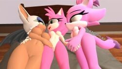 3d 3d_(artwork) 3girls amy_rose blaze_the_cat female r4nd0m_l4d rouge_the_bat sega self_upload sfm sonic_(series) sonic_the_hedgehog_(series) source_filmmaker threesome twitter_link yuri