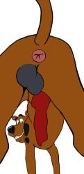 absurd_res anatomically_correct anatomically_correct_genitalia animal_genitalia anus ass balls canid canine canine_penis canis close-up domestic_dog feral genitals great_dane hanna-barbera hi_res knot male mammal mastiff molosser penis scooby-doo_(series) solo toony winserferret