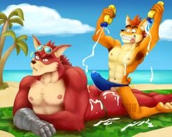 10s 2017 2boys anthro armpit_hair armpits ass bandicoot bara barefoot beach beach_towel blue_eyes blue_speedo blue_thong brothers bulge chest_hair clenched_teeth clothing clouds crash_(series) crash_bandicoot crunch_bandicoot detailed_background duo erect erect_penis erection erection_under_clothes feet fur furry furry_only gay green_thong male male_only mammal marsupial muscular muscular_male nipples nsfw-hideous orange_fur palm_tree penis red_fur robotic_arm seaside speedo stars sunglasses sunglasses_on_head sunscreen swimsuit tan_fur teeth thong tongue tongue_out two_tone_fur video_games watermark yaoi