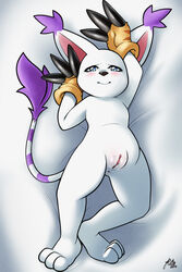 2019 2:3 anthro anus blue_eyes blush claws clitoris clothing dakimakura_design digimon digimon_(species) embarrassed felid female flat_chest fur furry furry_only gatomon gloves hi_res looking_at_viewer lying mammal pussy pussy_juice simple_background smile solo spreading sruto tail white_fur