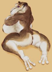 amphibian anthro anus ass big_breasts breasts female frog genitals hi_res huge_breasts knify_wolf nude pussy solo thick_thighs