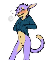 1cuntboy 2017 anthro blush bottomless brown_eyes clothed clothing cuntboy cuntboy_only digital_media_(artwork) dipstick_tail embarrassed ferratoodorple fur hair hi_res hoodie intersex looking_aside looking_away multicolored_fur multicolored_tail no_underwear pink_nose pubes purple_fur pussy simple_background solo swizz swizzlestix tan_fur teeth two_tone_fur white_background