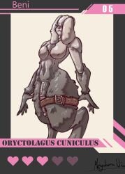 absurd_res animal_genitalia animal_penis anthro big_penis card chordata collection equine_genitalia equine_penis futanari genitals herm hi_res intersex lagomorph leporid mammal megaloma-nia penis rabbit solo straps