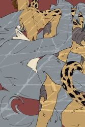 2:3 absurd_res ambiguous_penetration antelope anthro beastars bovid canid canine canis duo eye_scar facial_scar felid gazelle hi_res hybrid intimate legoshi_(beastars) leopard leopard_spots male male/male mammal melon_(beastars) pantherine penetration scar slpwk7_(artist) spots tattoo wolf