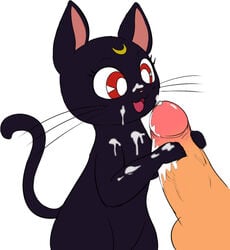 1boy 1girls a_cat_is_fine_too artist_request bishoujo_senshi_sailor_moon black_fur cum cum_on_face cum_on_paw feline female feral fur furry human human_on_feral interspecies luna_(sailor_moon) male mammal penis semi-anthro uncensored zoophilia