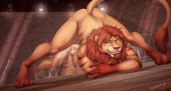 absurd_res anthro anus ass_up balls claws digital_media_(artwork) felid genitals hi_res jack-o'_pose lion looking_at_viewer magayser male male_focus male_only mammal mane mirror nude nude_anthro nude_male pantherine penis perineum pose smile solo tail teeth