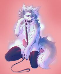anthro breath canid canine canis clothing collar erection fluffy fluffy_tail fur grey_body grey_fur hi_res hita9 leash leashed_collar legwear male mammal multicolored_body multicolored_fur panting sitting solo solo_focus stockings tail white_body white_fur wolf