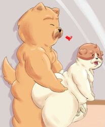 absurd_res anal anal_sex anthro bodily_fluids bulldog canid canine canis chow_chow closed_eyes dogs_in_space domestic_dog duo heart_symbol hi_res jerry_(dogs_in_space) loaf_(dogs_in_space) male male/male mammal mastiff molosser muscular muscular_male netflix penetration saliva sex slightly_chubby spitz ugly-rat15508