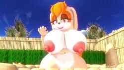 3d 3d_animation age_difference animated anthro areola balls bench_tails big_breasts breasts duo erect_nipples erection female fox huge_breasts imminent_sex leviantan581re male milf nipples no_sound nude penis rabbit sonic_(series) tagme tails tails_the_fox vanilla_the_rabbit video