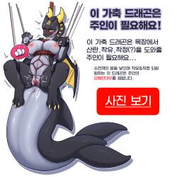 absurd_res advertisement anal anthro anus big_breasts black_body black_skin black_tail bodily_fluids bondage bondage bound breasts cetacean claws dildo dolphin dragon drooling egg exposed_breasts female fin fixed_dildo fixed_toy fixed_vibrator forced forced_exposure forced_orgasm gaping gaping_anus genital_fluids genitals hi_res horn hybrid korean_text leaking_milk looking_pleasured mammal marine markings mythological_creature mythological_scalie mythology nipples orgasm pregnant presenting pussy saliva scalie sex_toy simple_background solo spread_legs spreading stickdora suspension suspension_bondage tail tail_fin text thick_tail tongue tongue_out toothed_whale translation_check translation_request vaginal_fluids vibrator white_background white_body white_skin wings yellow_claws yellow_eyes yellow_horn yellow_markings yellow_wings yvelkram_(character)